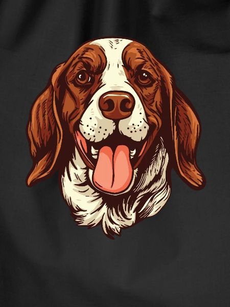 Dog Four-legged Friend Cute