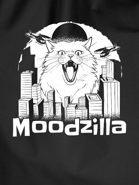 Cat Funny