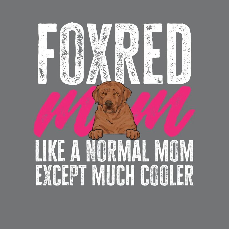 Foxred Labrador Fox Red Labrador Retriever