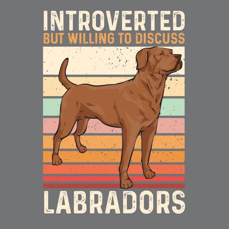 Foxred Labrador Fox Red Labrador Retriever