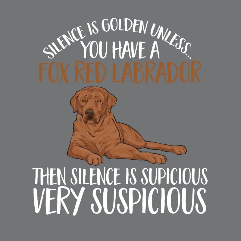Foxred Labrador Fox Red Labrador Retriever