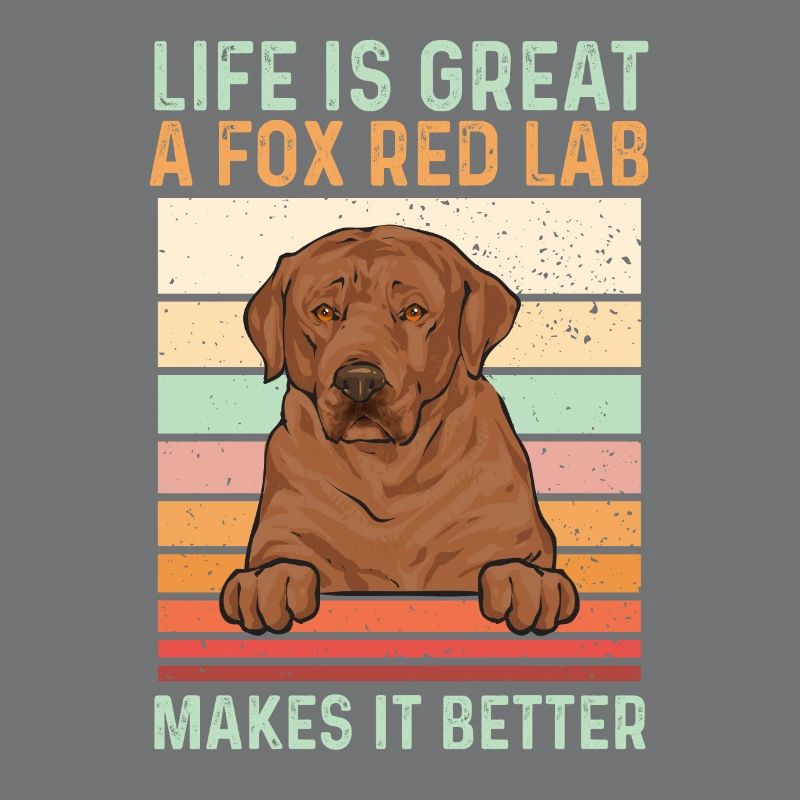 Foxred Labrador Fox Red Labrador Retriever