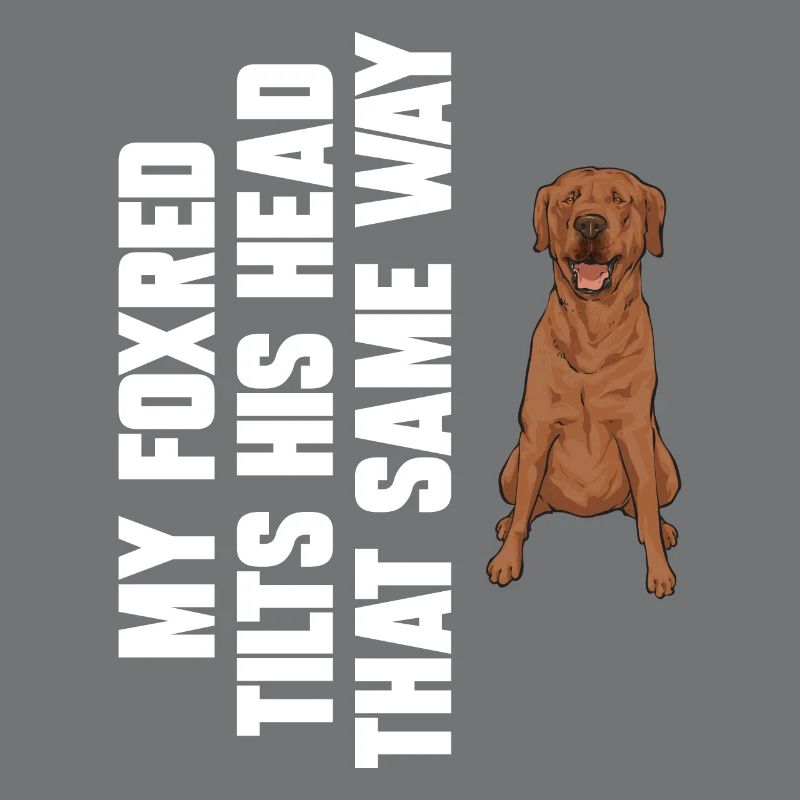 Foxred Labrador Fox Red Labrador Retriever