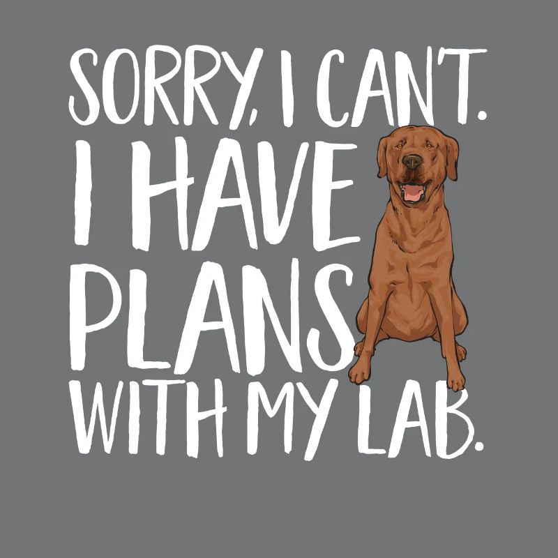 Foxred Labrador Fox Red Labrador Retriever