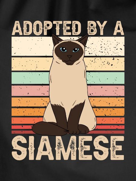 Siamkatze