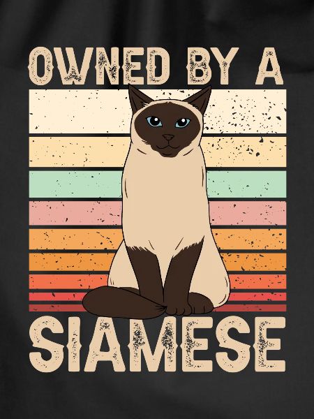Siamkatze