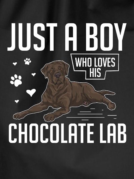 Chocolate Labrador Retriever Hund