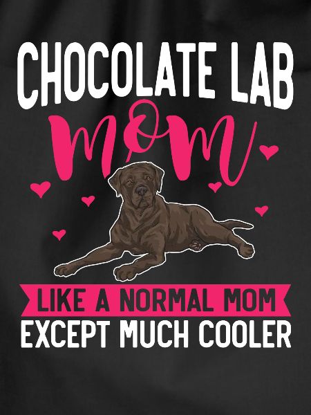Chocolate Labrador Retriever Hund