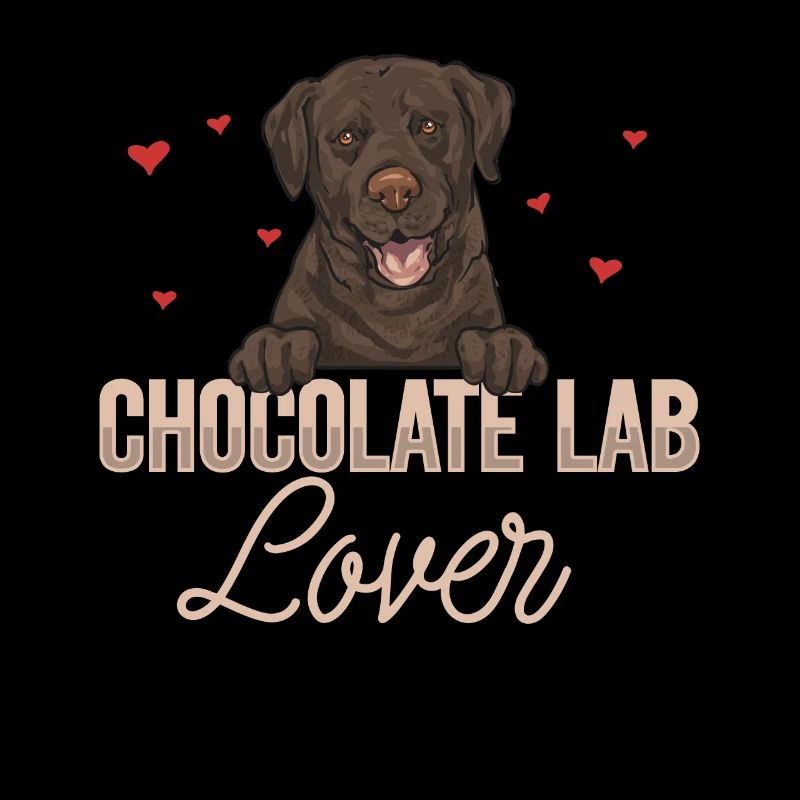 Chien Labrador Retriever chocolat