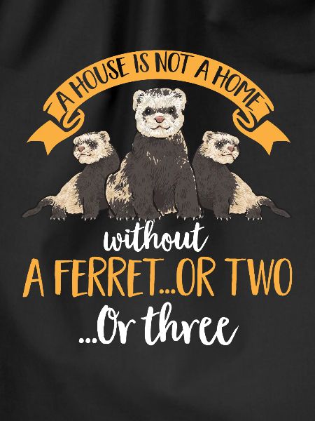 Ferret Owner Ferret