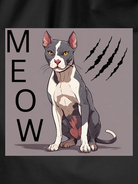 Angry Cat