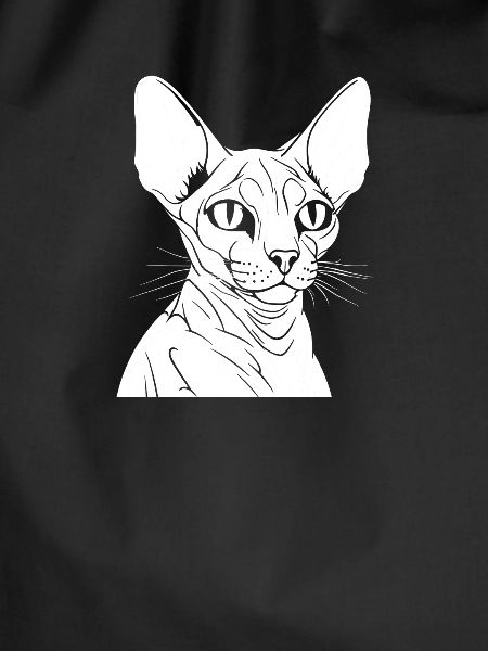 Sphynx Cat