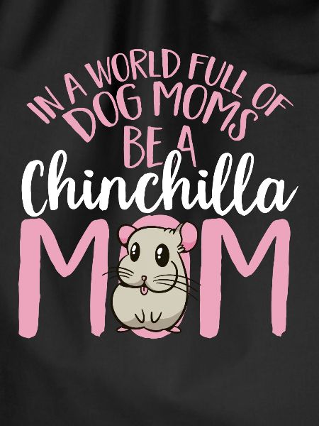 Chinchilla