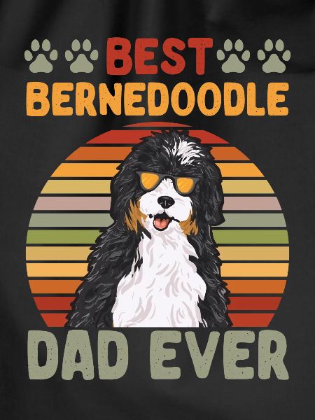 Bernedoodle Hund