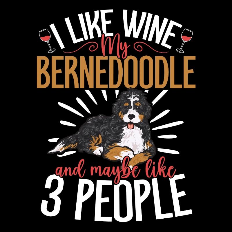 Bernedoodle Hund