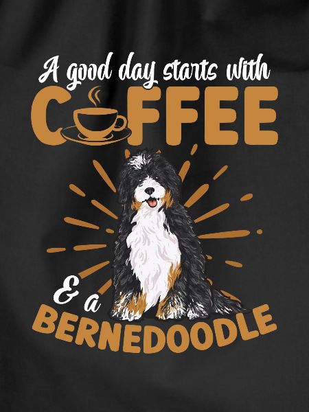 Bernedoodle Hund