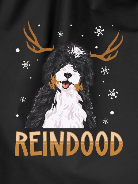 Bernedoodle Hund