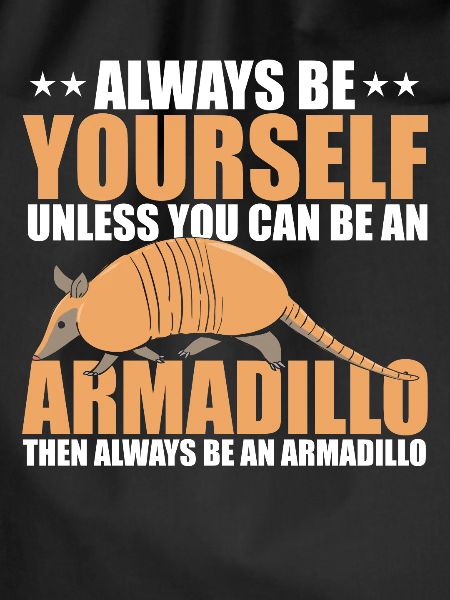 Armadillo Pet Armadillo Gift