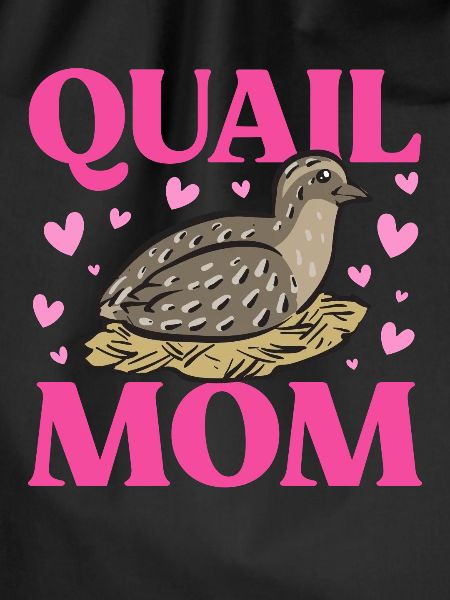 Quail Bird