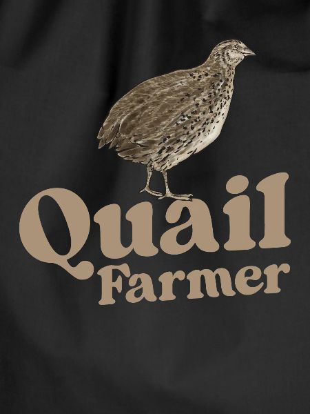 Quail Bird