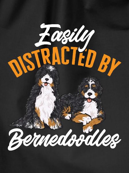 Bernedoodle Hund