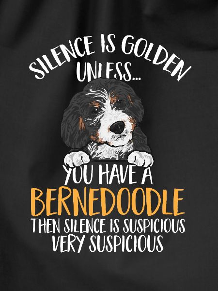 Bernedoodle Hund
