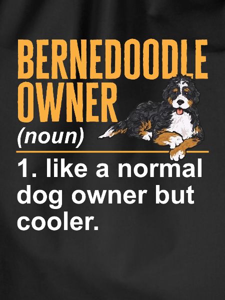 Bernedoodle Dog