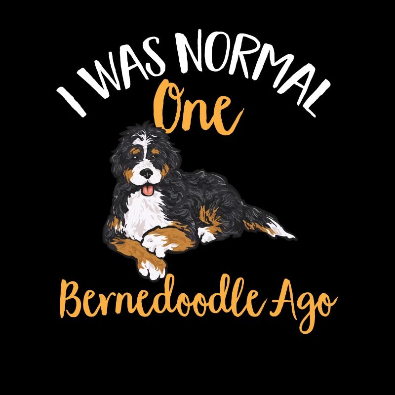 Bernedoodle Dog