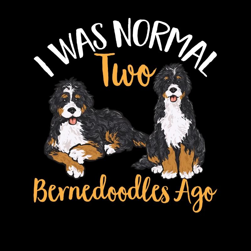 Bernedoodle Dog