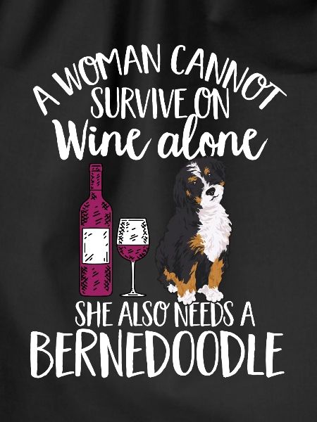 Bernedoodle Dog