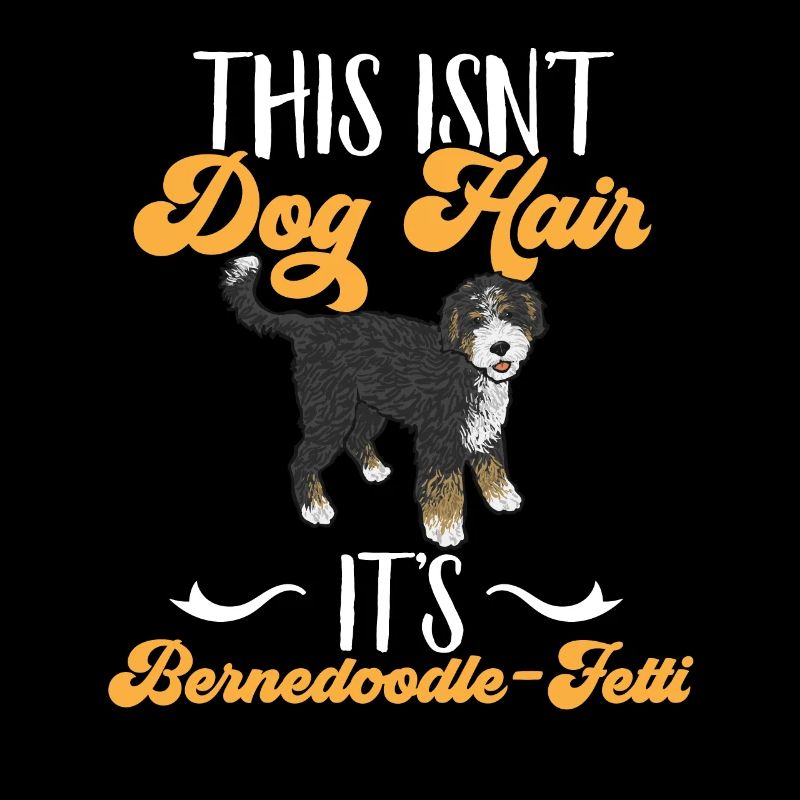 Bernedoodle Dog