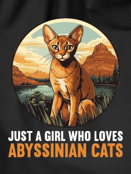 Abyssinian Cat Abessinierkatze