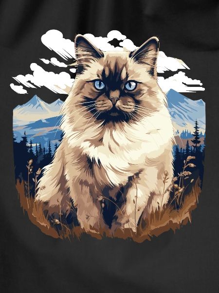 Birman Cat Birma Katze