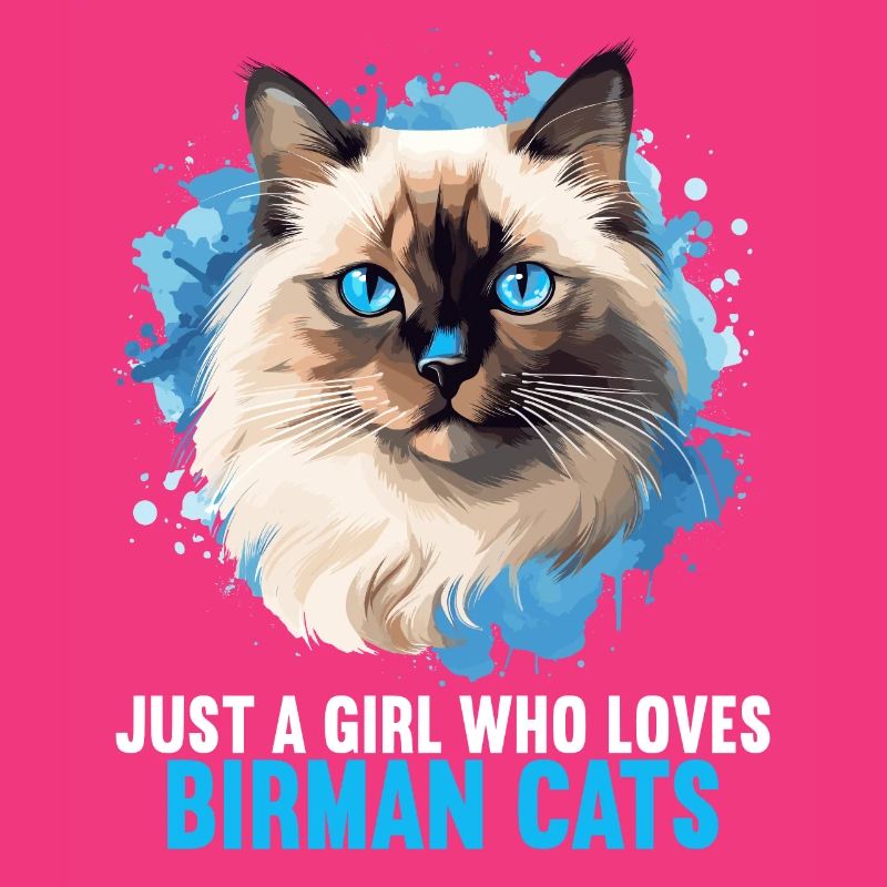 Birman Cat Birma Katze
