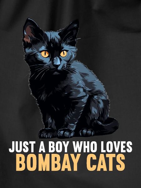 Bombay Cat Bombay Katze