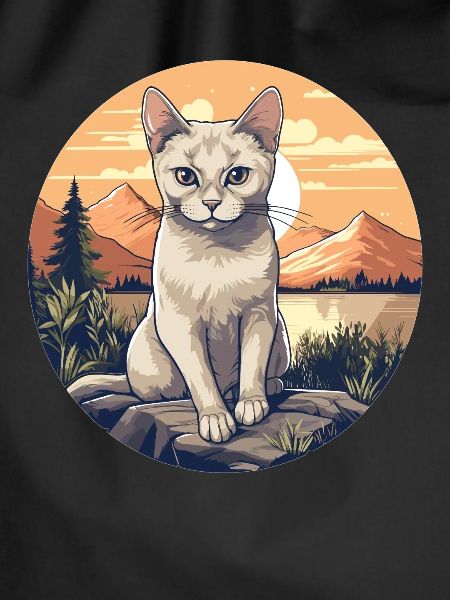 Burmilla Kitten Burmilla Cat