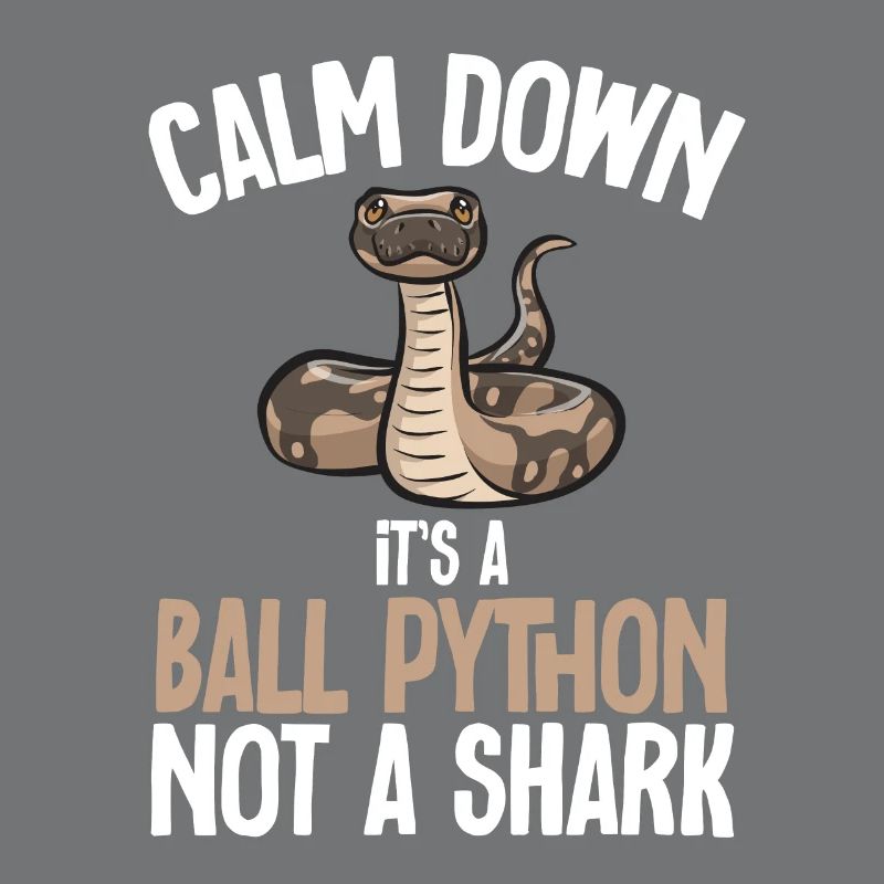 Ball Python Schlange Königspython