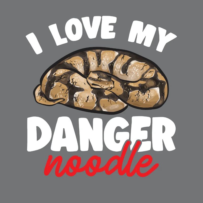 Ball Python Schlange Königspython