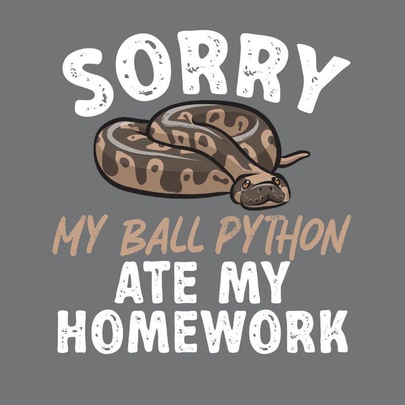 Ball Python Schlange Königspython