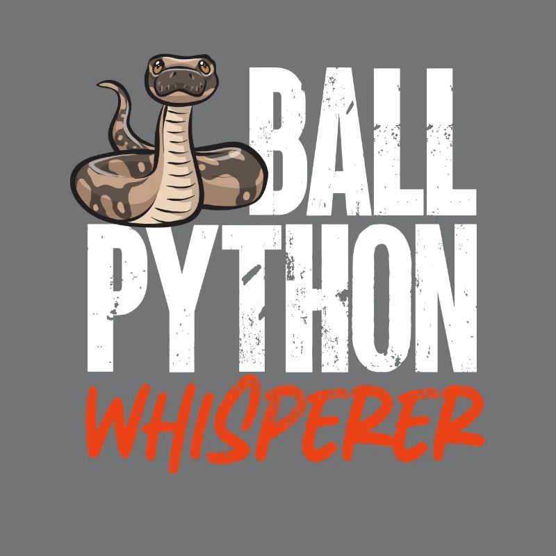Ball Python Schlange Königspython