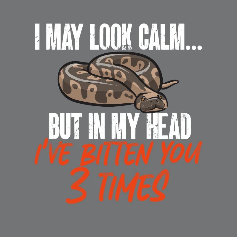 Ball Python Schlange Königspython