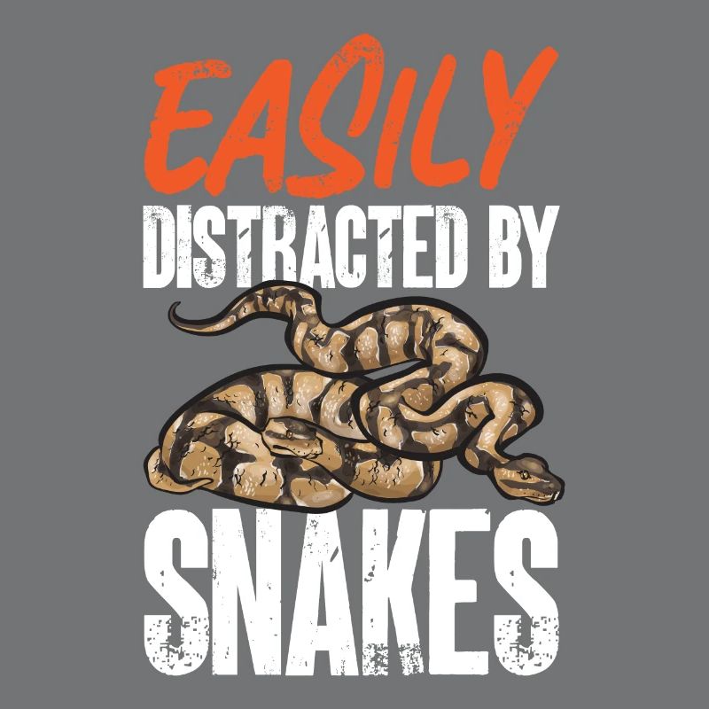 Ball Python Snake King Python