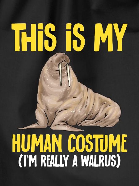 Walrus