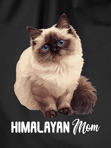 Himalayan Cat Colourpoint Katze