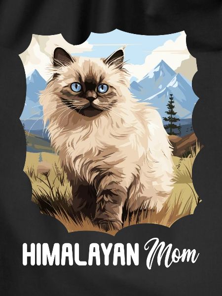 Himalayan Cat Colourpoint Katze