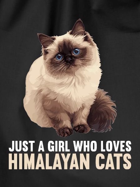 Himalayan Cat Colourpoint Katze
