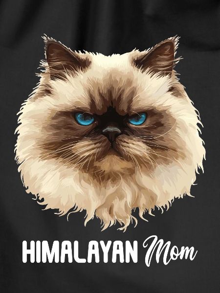 Himalayan Cat Colourpoint Katze