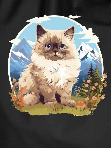 Himalayan Cat Colourpoint Katze