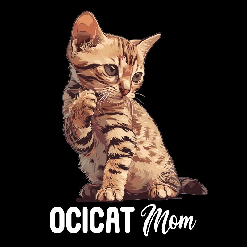 Ocicat Kitten Ocicat Cat