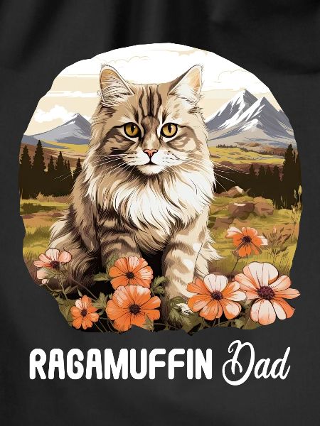 Ragamuffin Kitten Ragamuffin Cat